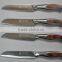 Pakka Wood Handle Fruit Knife/steak Knife