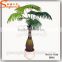 2016 artificial bottle palm tree outdoor and indoor