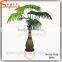 2016 Artificial Bottle Palm Tree Outdoor and Indoor