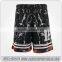 Customized new design mens sports baseball shorts