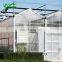 Low Price Complete polycarbonate greenhouse garden greenhouse with hydroponic strawberry growing system