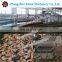 chicken feet processing line /claw peeling machine/chicken feet peeling machine