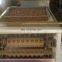 hawaii nut breaking machine Hot sell factory price hawaii nut tapping machine