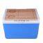Eco-friendly camping 11L  portable plastic cooler hard cooler box with beech lid