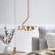 Modern Loft Hanging Light Adjustable LED Pendant Light Warm White