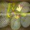 Thailand King Fruit Frozen Durian Whole (Monthong)
