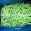 2022 New Crop A Grade Frozen vegetable Length 4 - 9 cm  IQF Frozen Sugar Snap Peas