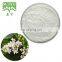 Supply natural chinese glossy privet fruit extract Ligustrum lucidum extract