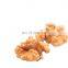 food flavor walnut plant walnut shell walnut kernels light quarters
