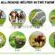 chaff cutter zimbabwe types of chaff cutters machine india grass