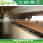stainless steel biscuit making machine for small business