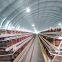 Fully automatic egg laying mother chicken cage