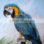 Canvas Art Painting Printed For Kids Room OR Living Room 11-012