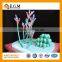 teaching model,biological model
