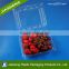 2016 new style PET transparent disposable plastic food tray for fruit / strawberry                        
                                                                                Supplier's Choice