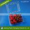 Wholesale Disposable Blister Clear Customized Fresh Fruit Packing Box