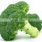 Chinese fresh broccoli price