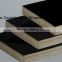High Quality Black Waterproof Film Face Plywood with Factory Price