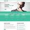 python web development