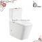 Two piece toilet washdown wc brand toilet