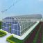 low cost Agricultural Plastic Covered Tunnel single span Greenhouse for Sale