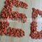Ningxia china goji berries price