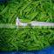 IQF frozen pea pods with BRC certificate