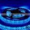 High qualith IP68 Waterproof led strip Blue smd3528 240leds 24V LED strip rope light