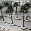Indoor preserved washingtonia palm tree fake tropical big palm tree