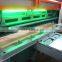 Veneer Clipper/Guillotine Cutting Machine