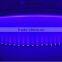 Guangzhou stage rgbwa led par light