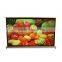 New Golden Tone H50 50 inch 4:3 manual projection screen for office training meeting home theater display