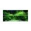 Water plant 60cm 120cm best sale professional led light aquarium lighting for plant