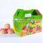 fresh apple fruit corrugated box export packaging