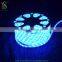 10mm 24v Bule christmas led rope lights