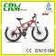 Cheap High Quality Mountain Lithium Battery Electric Bike