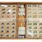 Traditional Mahjong Set in Bamboo Wood Case