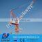 Shandong Province Slewing D260(6029) Luffing jib tower crane self raised erecting hoisting lift for sale in Dubai and Middle Eas