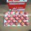 China Fresh Apple From Yantai Small Sizes