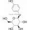 China supplier manufacturing alpha arbutin powder pure natural for cosmetics