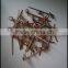 Disposable Bamboo Skewers, Red Bamboo Fruit Skewers