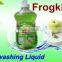 Powerful Degreasing Dish wash Detergent Liquid for Tableware/Fruit