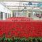 Flower Growing Greenhouse