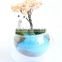 Moss bottles micro landscape accessories artificial peach tree decorative background plant