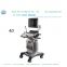 China Color Doppler Ultrasound Scanner Manufacturer (YJ-U10T)