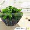 Artificial Earth-color Ceramic Aline Garden Planter