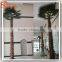 Latest Design All Kinds of Decorative Metal Palm Trees Canada Artificial Plastic Palm Tree