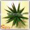 Mini ornamental artificial tropical succulent plants for decoration