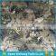 New Arrived Forest Camo Printed Waterproof CVC 80 20 Fabric for Russia