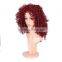 Hot sale kinky curly synthetic hair wigs
